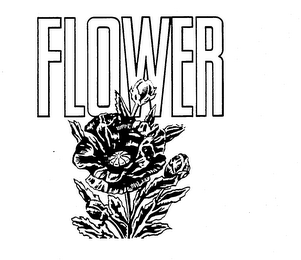 FLOWER trademark