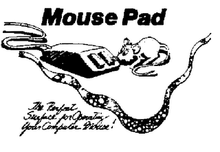 MOUSE PAD THE PERFECT SURFACE FOR OPERATING YOUR COMPUTER MOUSE