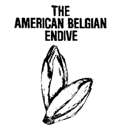 THE AMERICAN BELGIAN ENDIVE