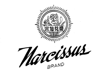 NARCISSUS BRAND