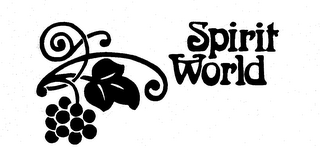 SPIRIT WORLD trademark