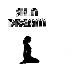 SKIN DREAM trademark