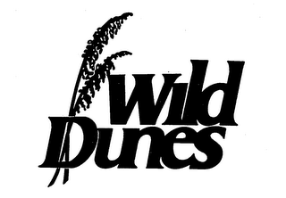 WILD DUNES