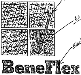 BENEFLEX