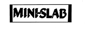 MINI-SLAB trademark