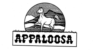 APPALOOSA trademark
