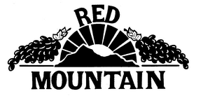 RED MOUNTAIN trademark