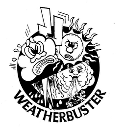 WEATHERBUSTER