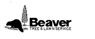 BEAVER TREE & LAWN SERVICE trademark