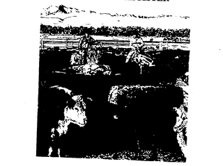 CRICERAM C trademark