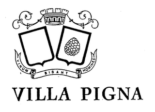 VILLA PIGNA VINUM BIBANT HOMINES