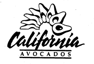 CALIFORNIA AVOCADOS