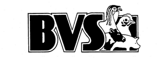 BVS