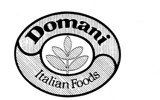 DOMANI ITALIAN FOODS