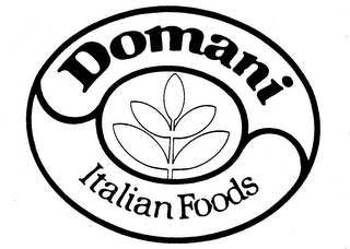 DOMANI ITALIAN FOODS