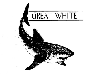 GREAT WHITE trademark