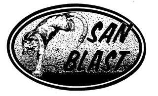 SAN BLAST trademark