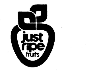 JUST RIPE FRUITS trademark