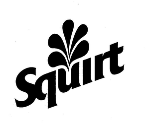 SQUIRT