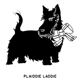 PLAIDDIE LADDIE