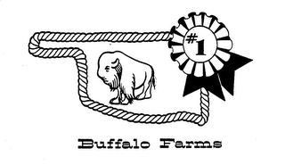 BUFFALO FARMS #1