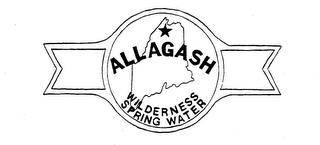 ALLAGASH WILDERNESS SPRING WATER