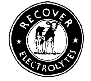 RECOVER ELECTROLYTES trademark