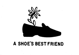 A SHOE'S BEST FRIEND