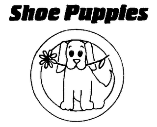 SHOE PUPPIES