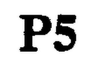 P5 trademark