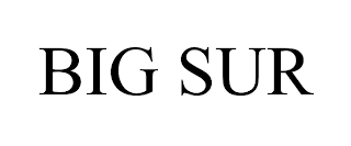 BIG SUR trademark