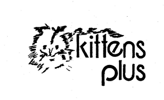 KITTENS PLUS