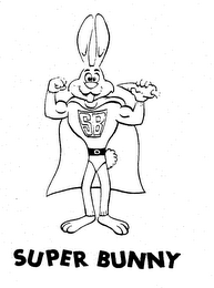 SUPER BUNNY SB trademark