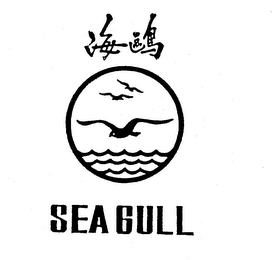 SEA GULL