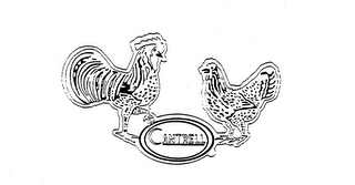 CANTRELL trademark
