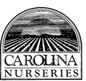 CAROLINA NURSERIES