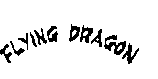 FLYING DRAGON