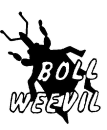 BOLL WEEVIL