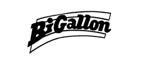 BIGALLON trademark