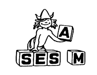 SESAM trademark