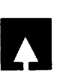 WE BRING TIMBERTHINGS TO LIFE.