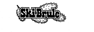 SKI-BRULE trademark