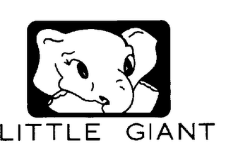 LITTLE GIANT trademark