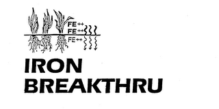 IRON BREAKTHRU FE trademark