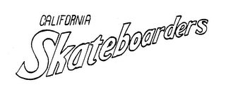 CALIFORNIA SKATEBOARDERS