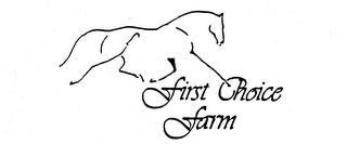 FIRST CHOICE FARM