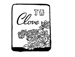 CLOVE trademark