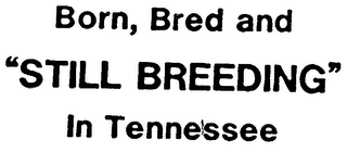 BORN, BRED AND "STILL BREEDING" IN TENNESSEE trademark