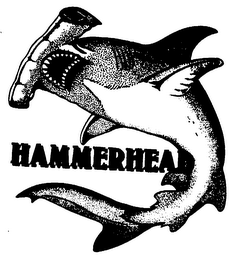 HAMMERHEAD