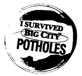 I SURVIVED BIG CITY POTHOLES